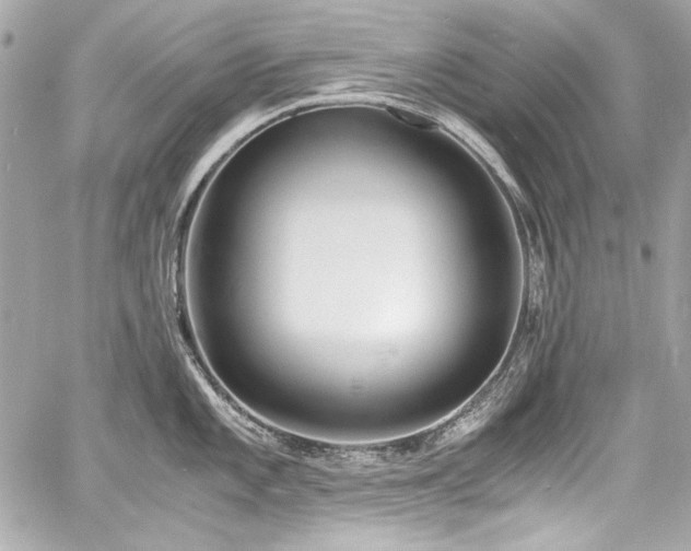 X0000060751101200511101109