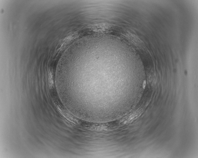 X0000060751106200511101108