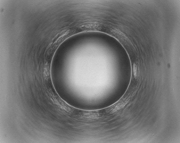 X0000060751107200511101108