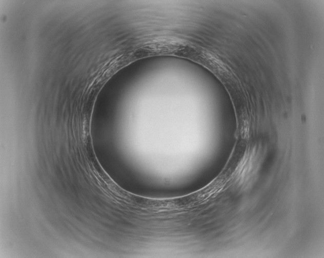 X0000060751108200511101108