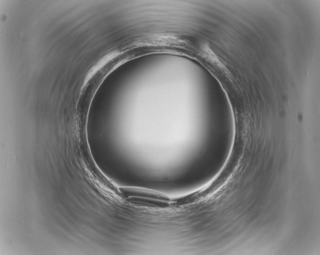 X0000060751114200511101108