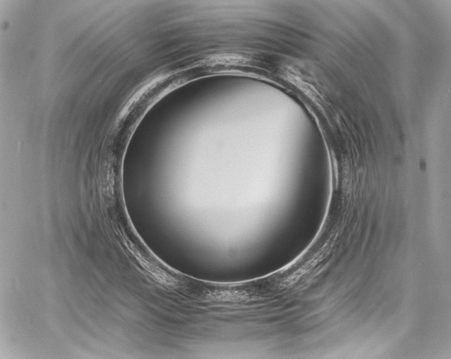 X0000060751115200511101108