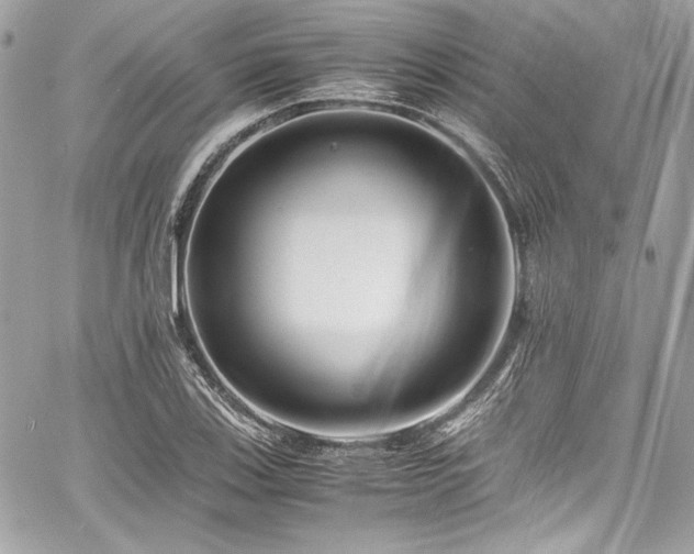 X0000060751123200511101108