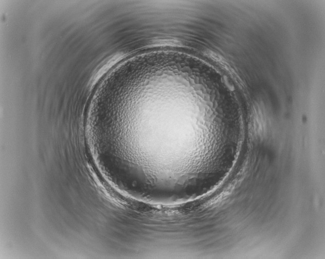 X0000060751129200511101108