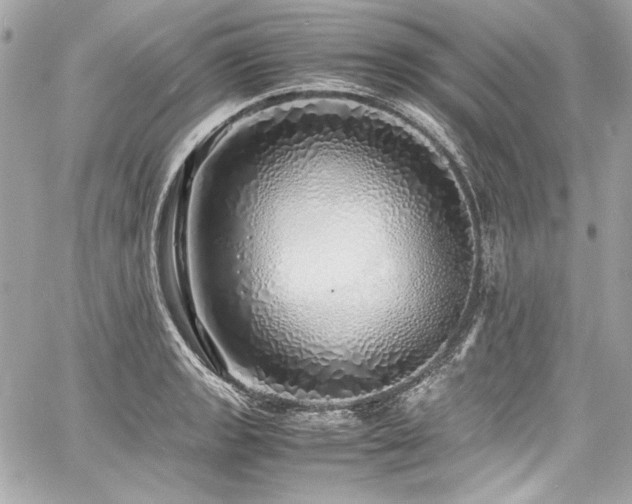 X0000060751133200511101108