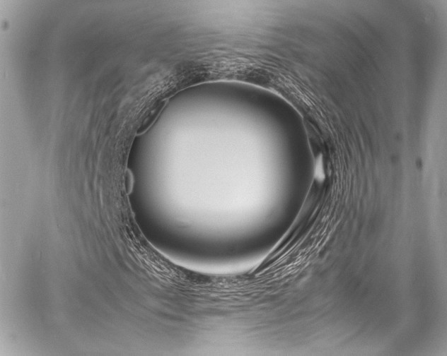 X0000060751153200511101108