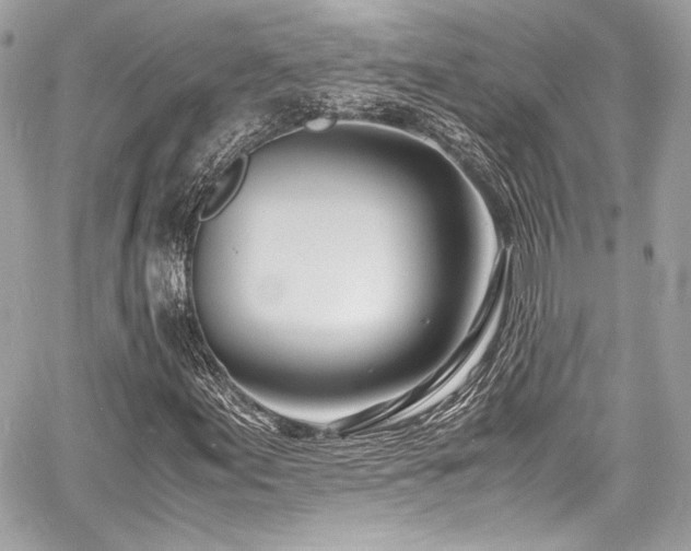X0000060751155200511101108