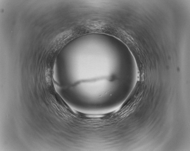 X0000060751156200511101108