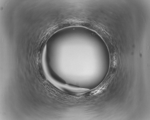 X0000060751157200511101108