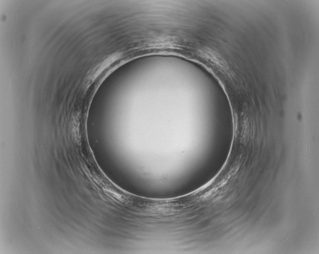 X0000060751162200511101108