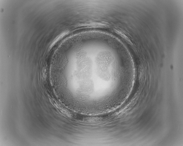 X0000060751163200511101108