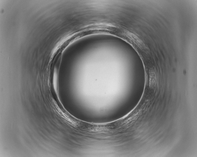 X0000060751164200511101108