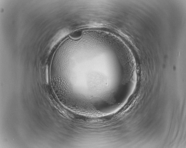X0000060751171200511101108