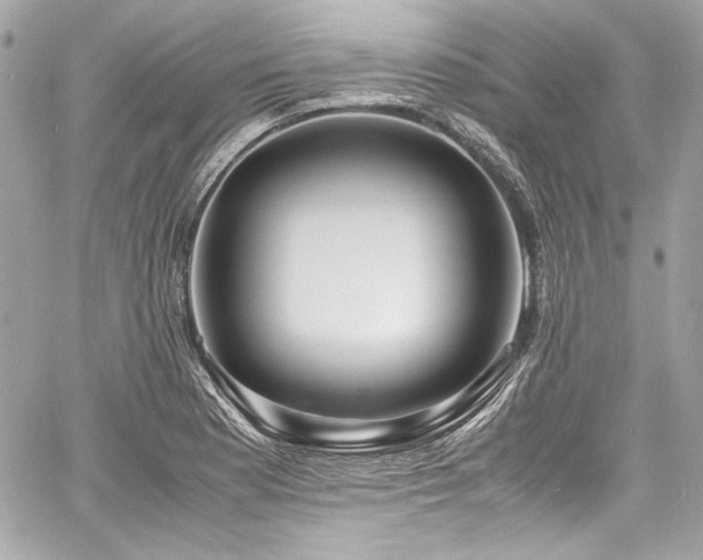 X0000060751177200511101108