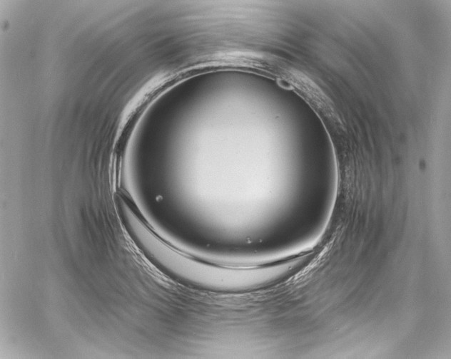 X0000060751180200511101107