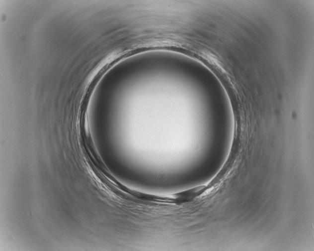 X0000060751181200511101107