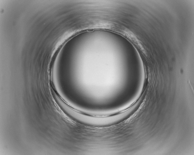 X0000060751184200511101107