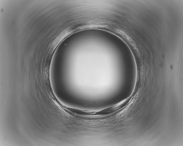X0000060751185200511101107