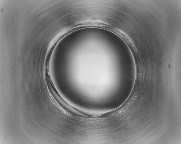 X0000060751188200511101107