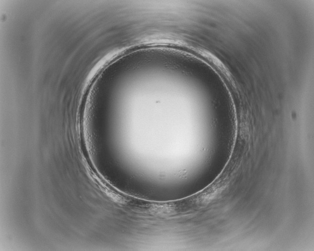 X0000060751191200511101107