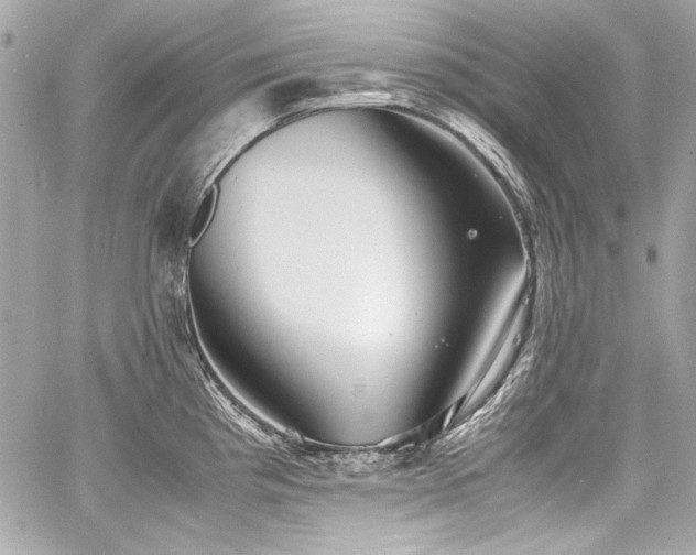 X0000060751193200511101107