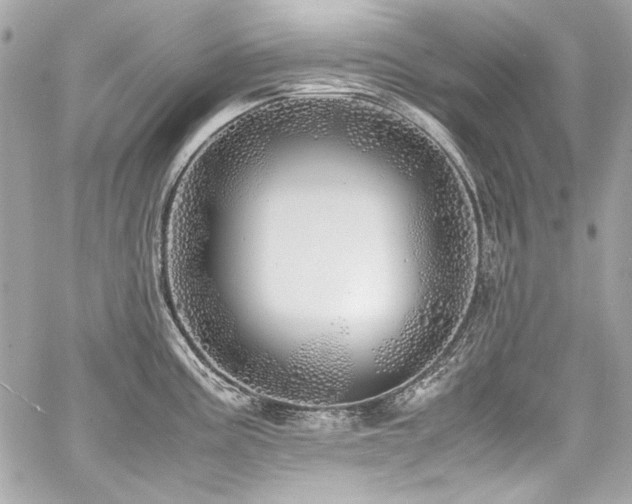 X0000060751195200511101107