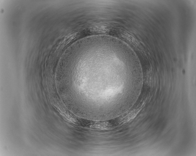 X0000060751201200511101106