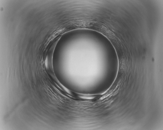 X0000060751202200511101106