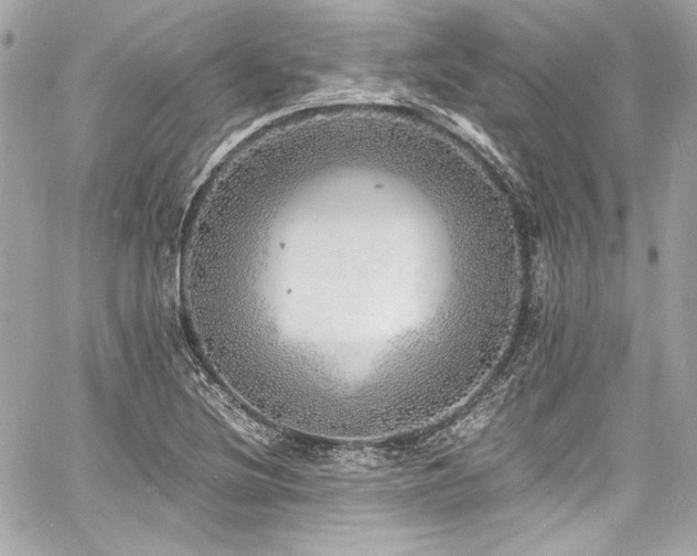 X0000060751220200511101107