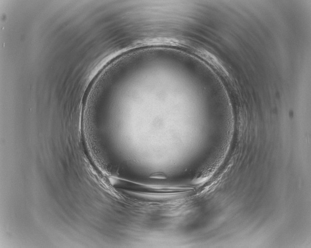 X0000060751228200511101107