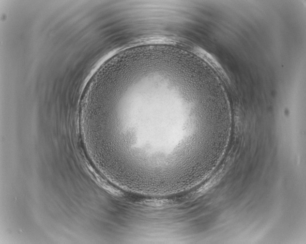 X0000060751236200511101107