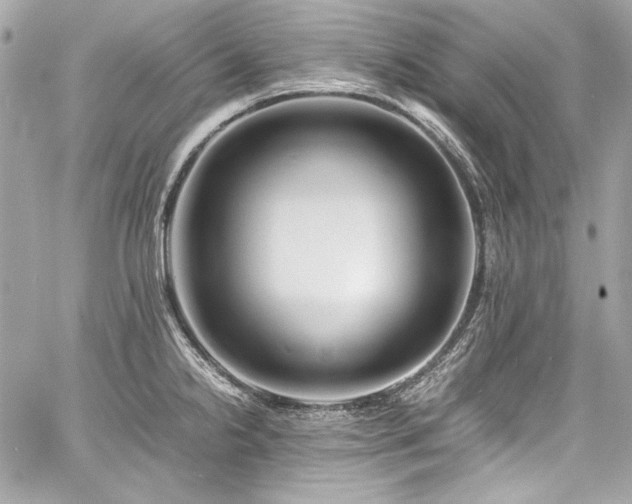 X0000060751238200511101107