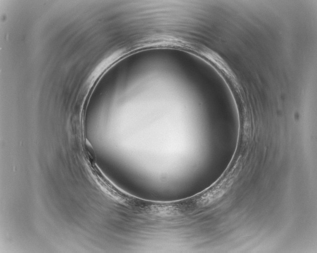 X0000060751242200511101107