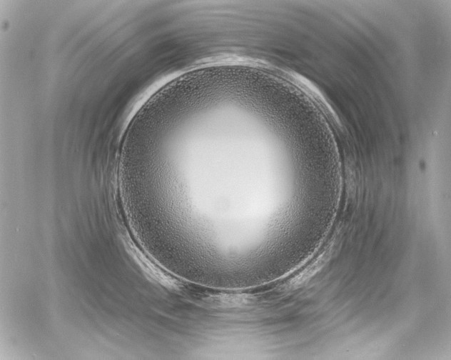 X0000060751244200511101107