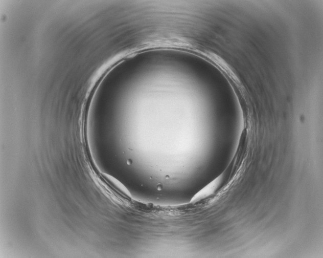 X0000060751246200511101107