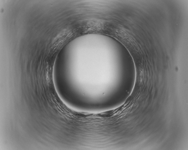X0000060751250200511101106
