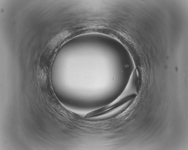 X0000060751257200511101106