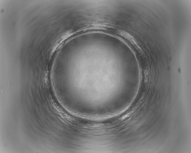 X0000060751260200511101106