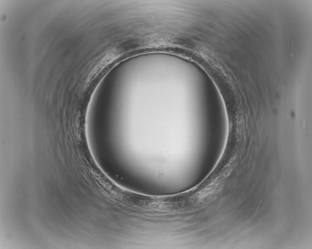 X0000060751265200511101106