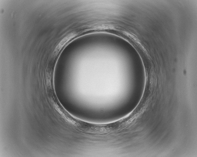 X0000060751273200511101106