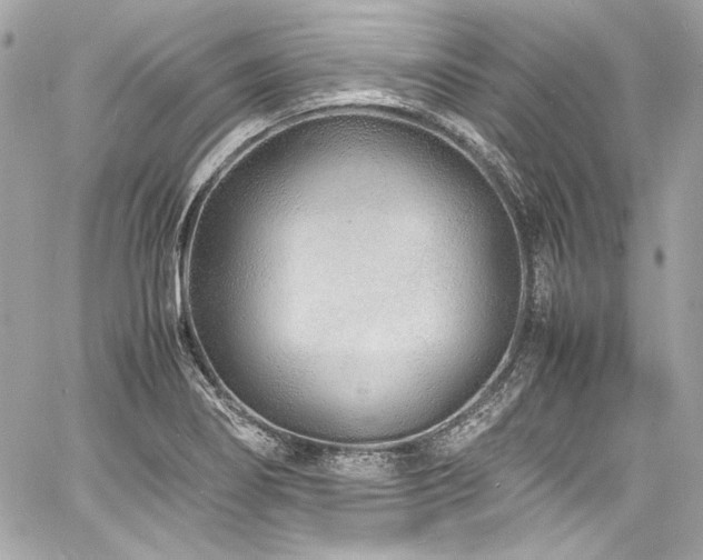 X0000060751274200511101106