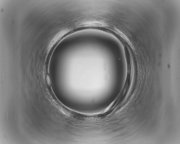 X0000060751277200511101106