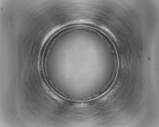 X0000060751278200511101106