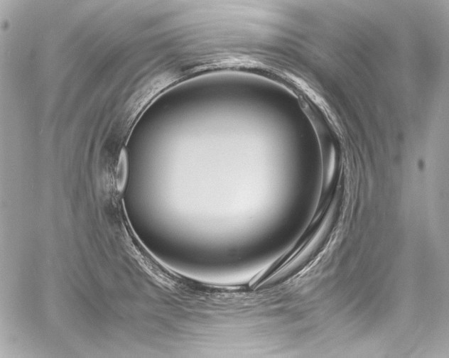 X0000060751281200511101106