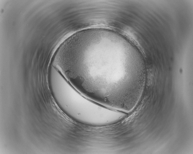 X0000060751284200511101106