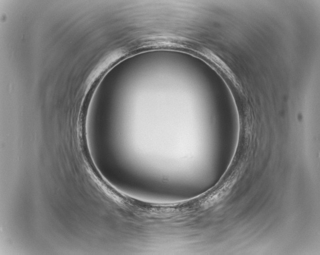 X0000060751285200511101106