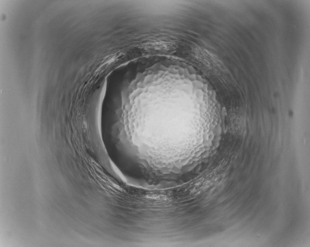 X0000060751297200511101105