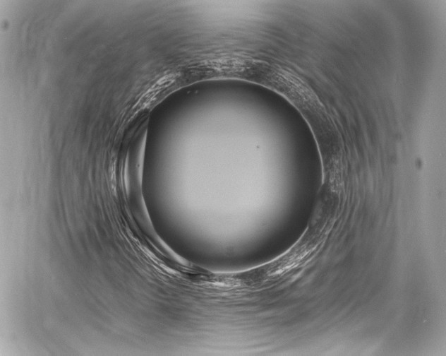 X0000060751298200511101105