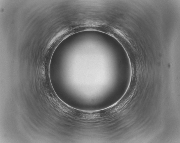 X0000060751307200511101105