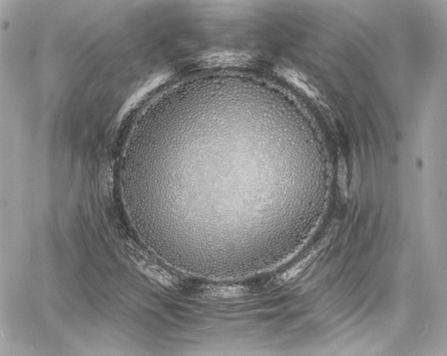 X0000060751309200511101105